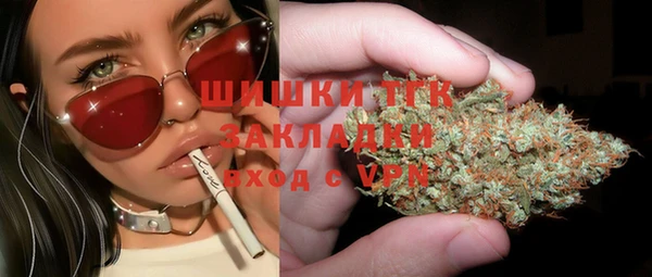 ПСИЛОЦИБИНОВЫЕ ГРИБЫ Рославль