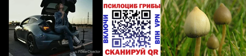 Псилоцибиновые грибы мицелий  хочу   OMG онион  Исилькуль 